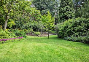 Optimiser l'expérience du jardin à Chillac